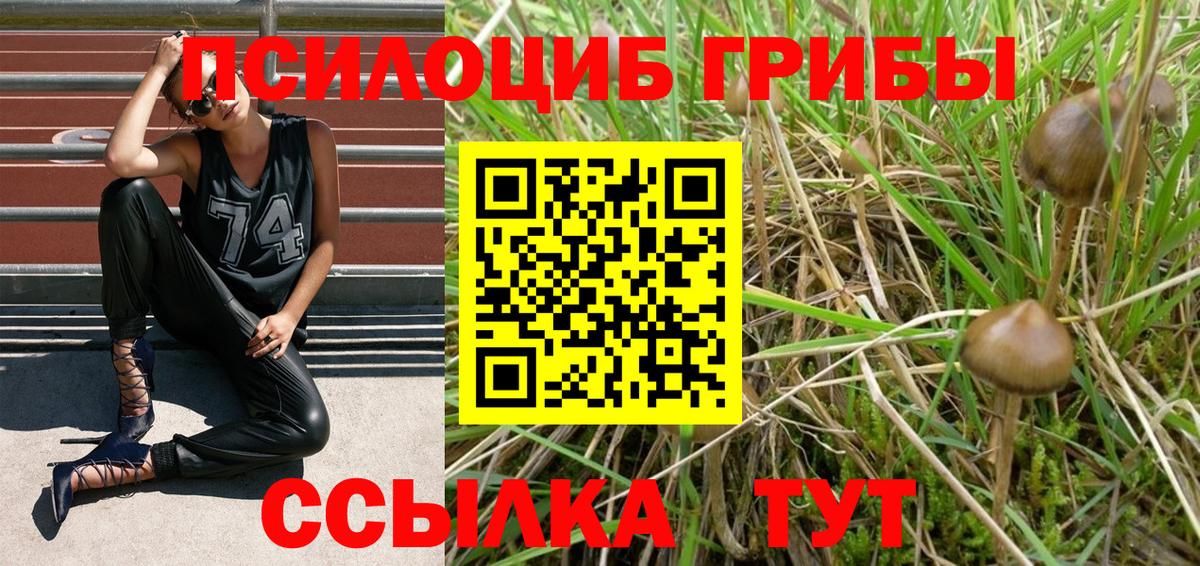 Гулькевичи  Псилоцибиновые грибы GOLDEN TEACHER  Вход с VPN  продажа наркотиков  Псилоцибиновые грибы мухоморы 
