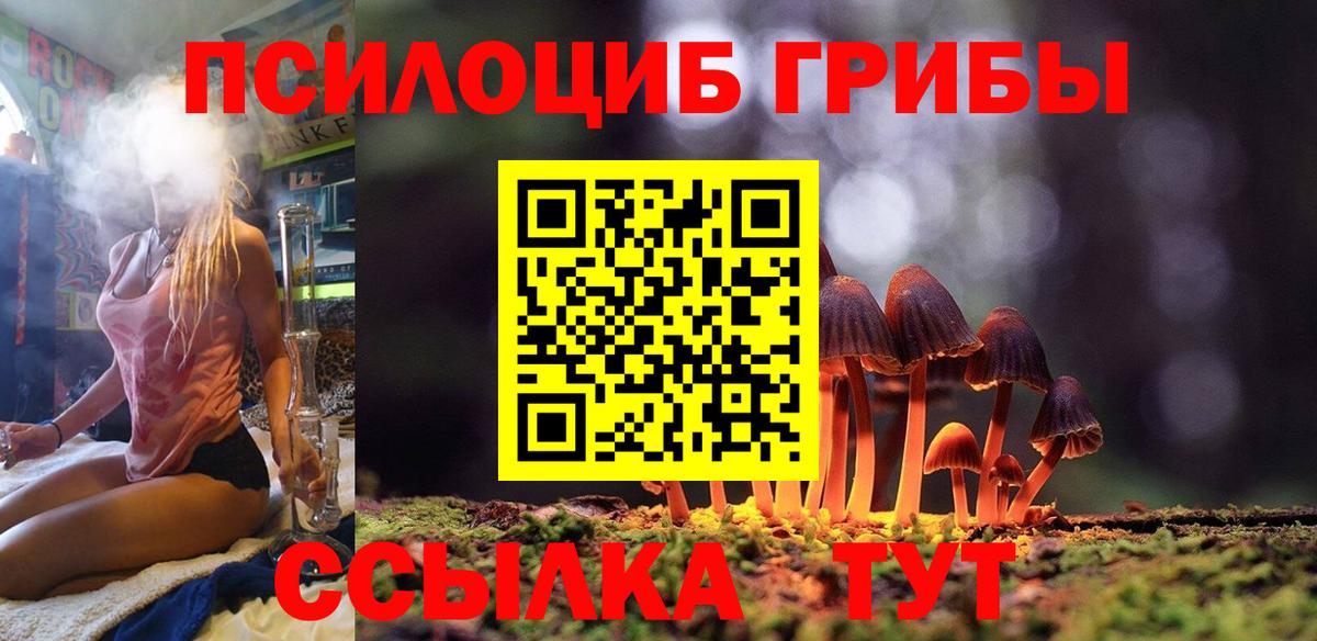 Галлюциногенные грибы Psilocybine cubensis Гулькевичи